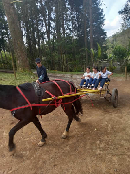 Bicho Mania 2022